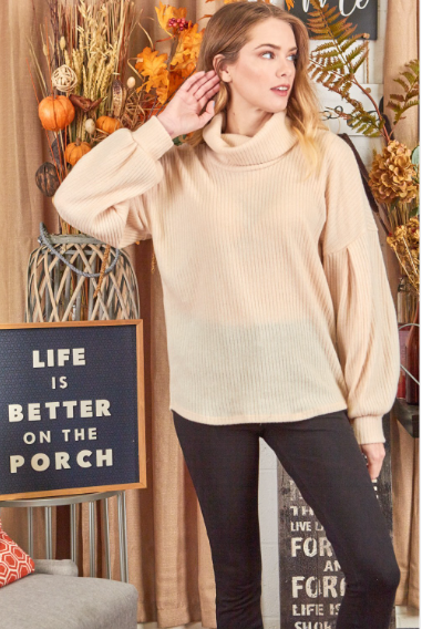 P17299 Turtle-Neck Long Sleeve